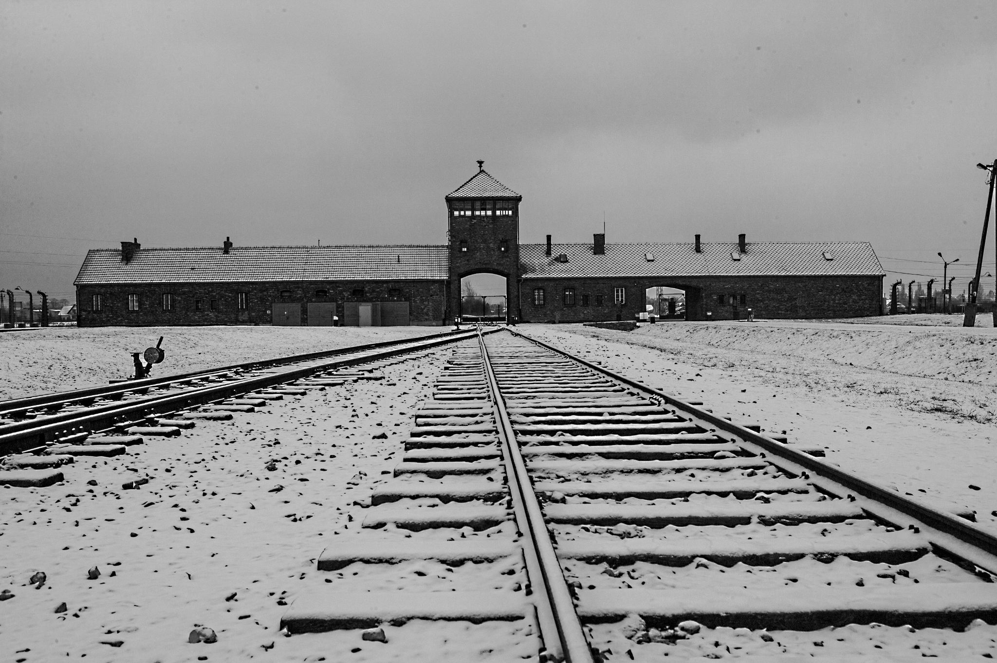  Auschwitz 